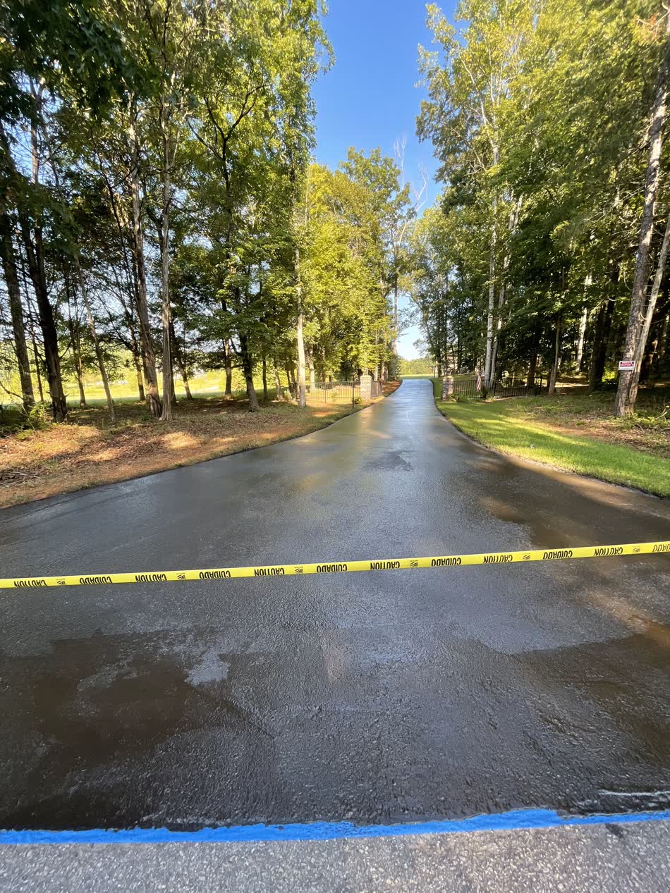 Wet, freshly sealed driveway running through a dense stand of Pacific Northwest trees
